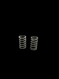 A10V060 COIL SPRING