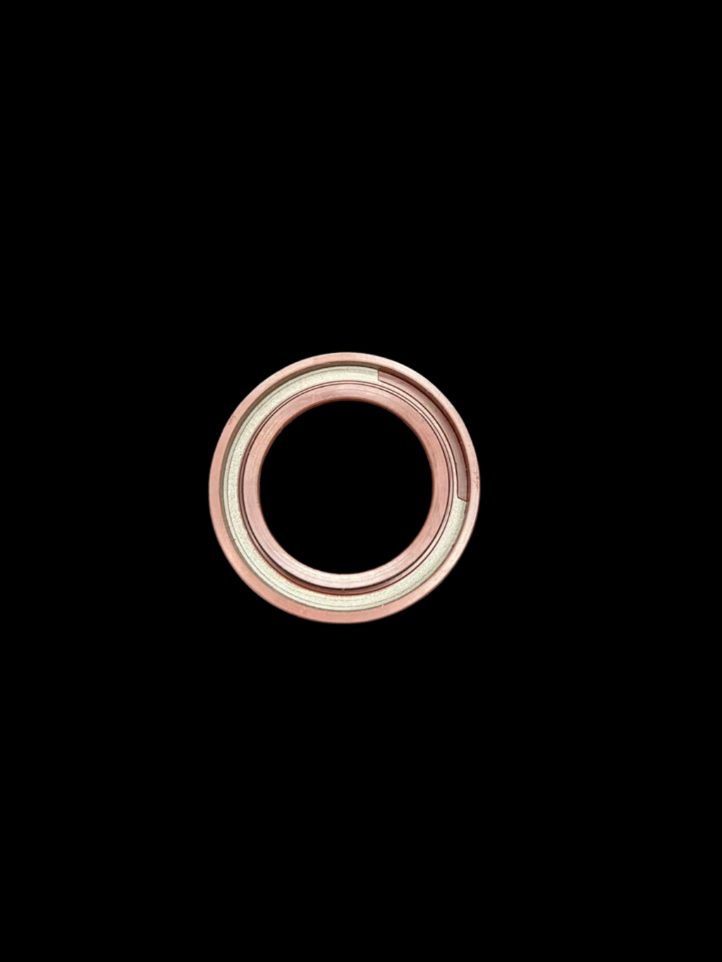 PVH98 SHAFT SEAL